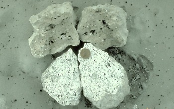 Pumice.jpg